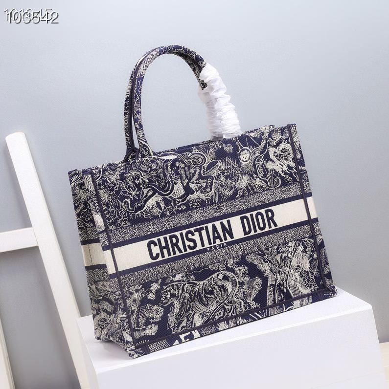 Christian Dior Shopping Bags